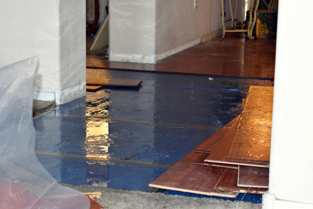 Professional Basement Flood Cleanup technician working in Greenwood, PA